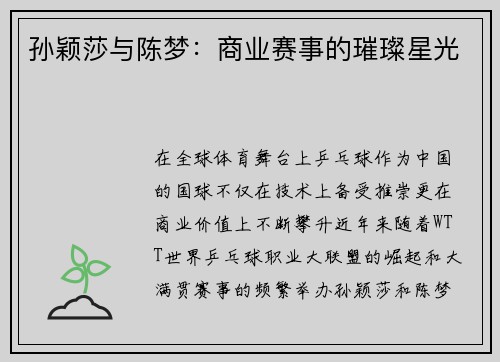 孙颖莎与陈梦：商业赛事的璀璨星光
