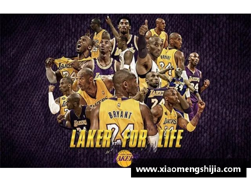 米乐M6NBA最近几年总冠军球队风采：荣耀与团队精神
