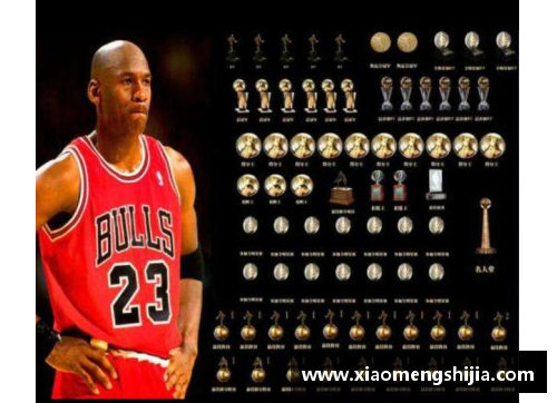 米乐M6NBA球星德雷克斯勒的生涯轨迹与荣誉：一览无余