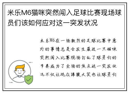 米乐M6猫咪突然闯入足球比赛现场球员们该如何应对这一突发状况
