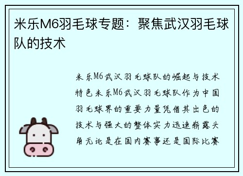 米乐M6羽毛球专题：聚焦武汉羽毛球队的技术