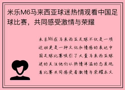 米乐M6马来西亚球迷热情观看中国足球比赛，共同感受激情与荣耀